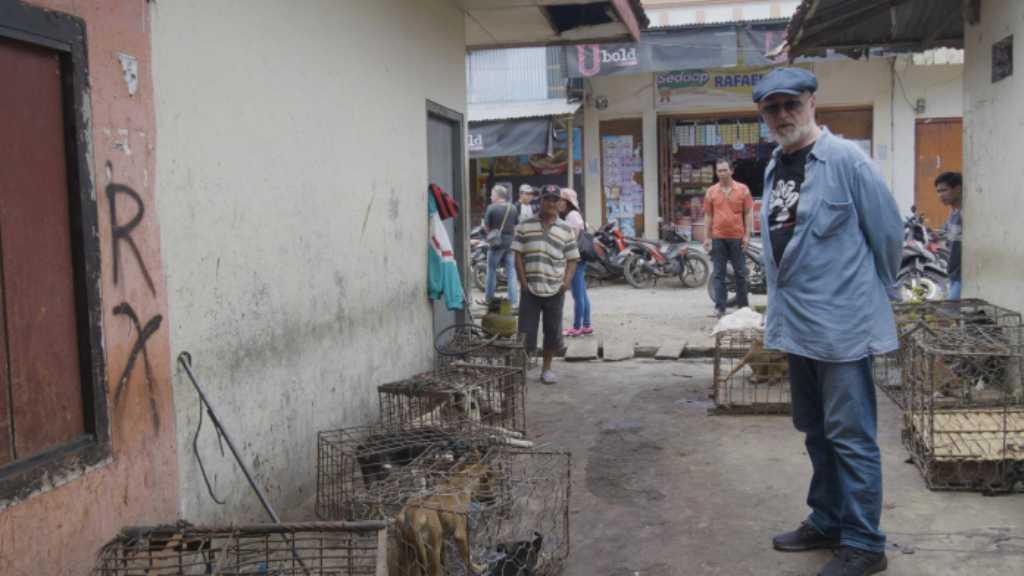 Aktor Inggris Ini Desak Indonesia Tutup Rumah Jagal di Tomohon Sulut
