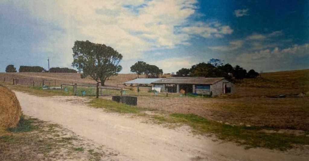 Diperkosa Saat di Australia, Backpacker Asal Eropa Alami Trauma