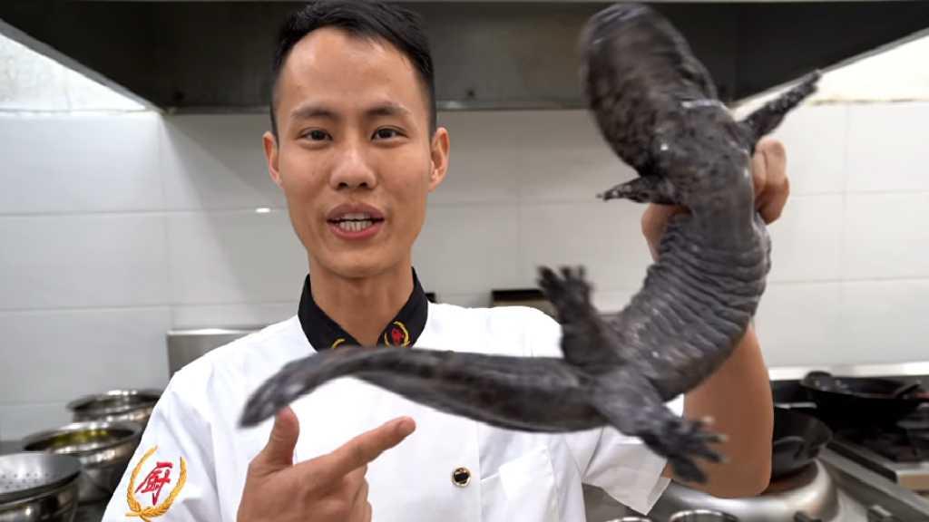 Viral! Koki Top China Dihujat Usai Bunuh Salamander Raksasa Langka