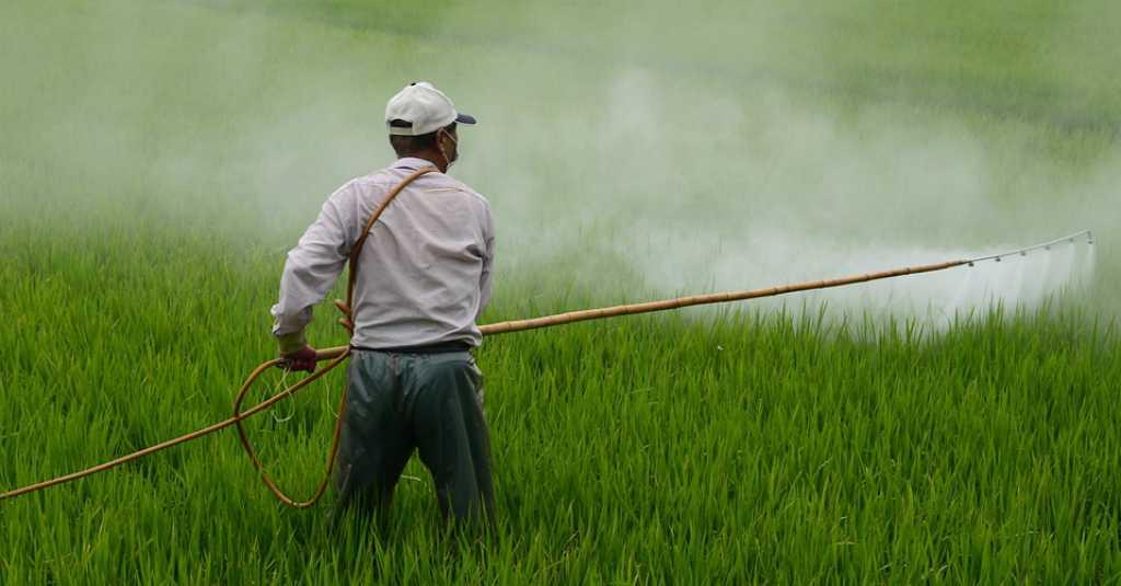 Studi: Paparan Pestisida Berisiko Gangguan Autisme pada Bayi