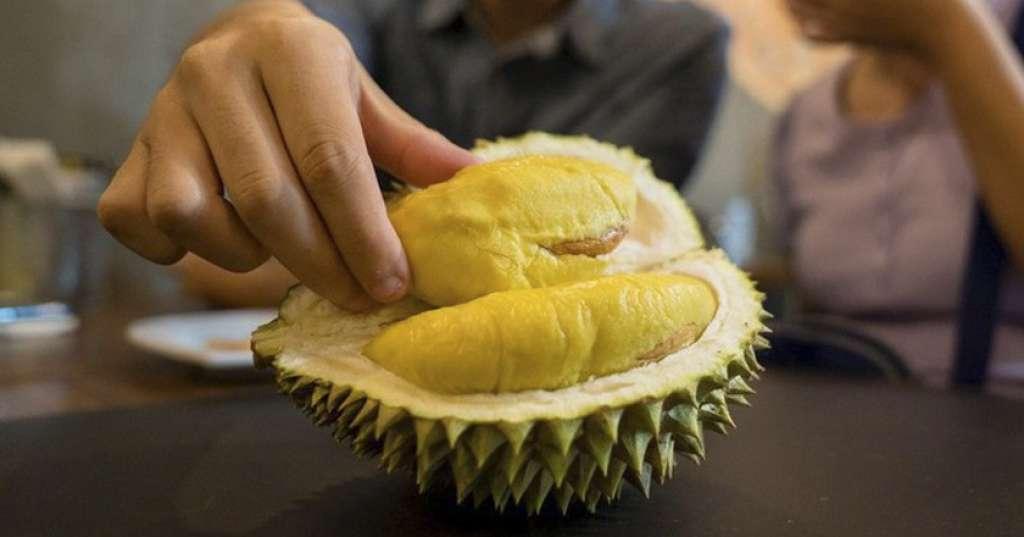 Ternyata Durian Buah yang Memiliki Kandungan Gizi Komplit