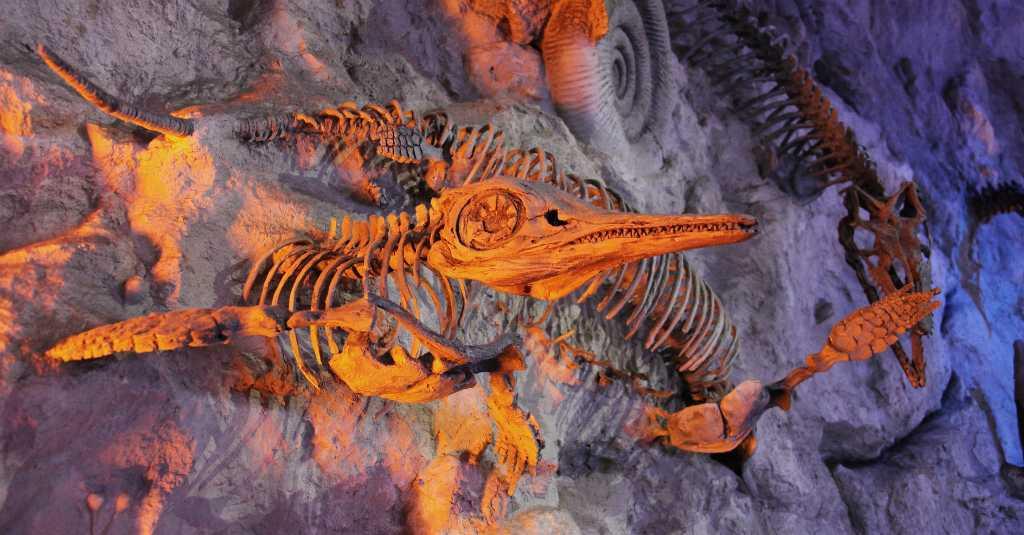Bukti 'Serangan' Asteroid ke Bumi, Kuburan Massal Dinosaurus Ditemukan