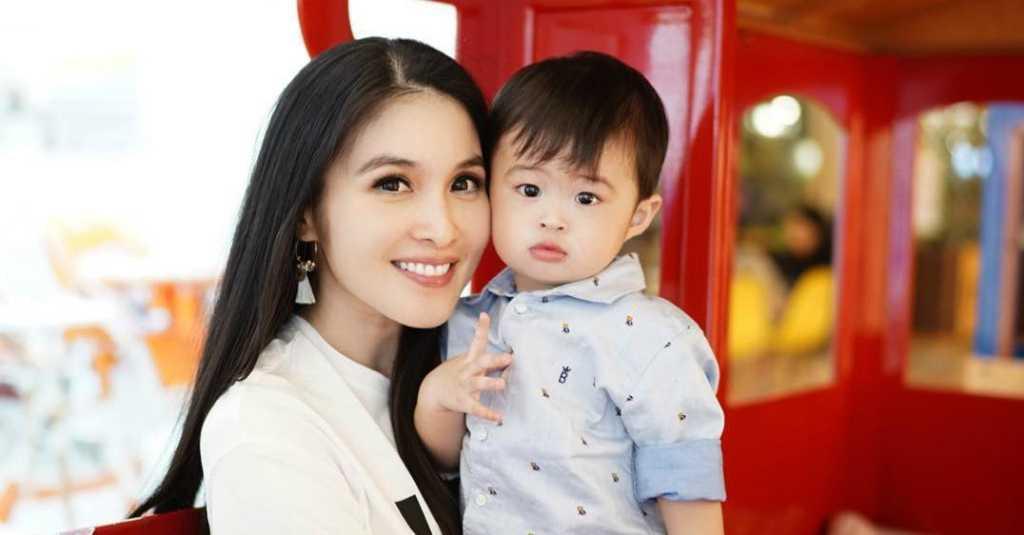 Masih Berumur 2 Tahun, Anak Sandra Dewi Dihadiahi Jet Pribadi