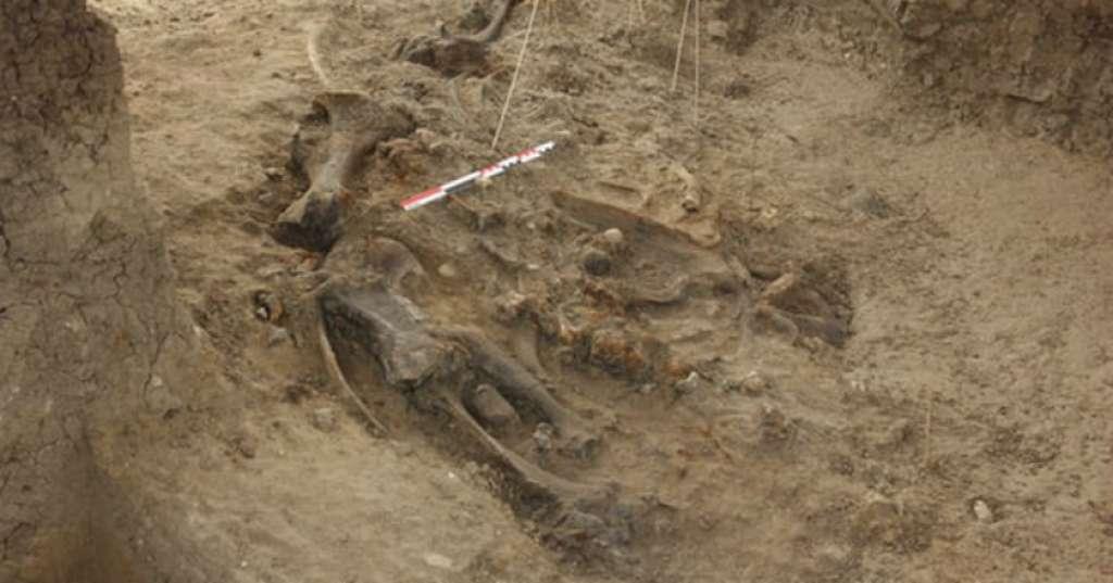 Manusia Sudah Ada Sejak 700 Ribu Tahun Lalu di Filipina?