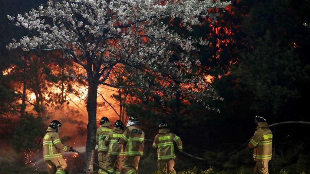 Korsel Bagai Dua Mata Uang, Gemerlap Lampu Berpadu Cahaya Api