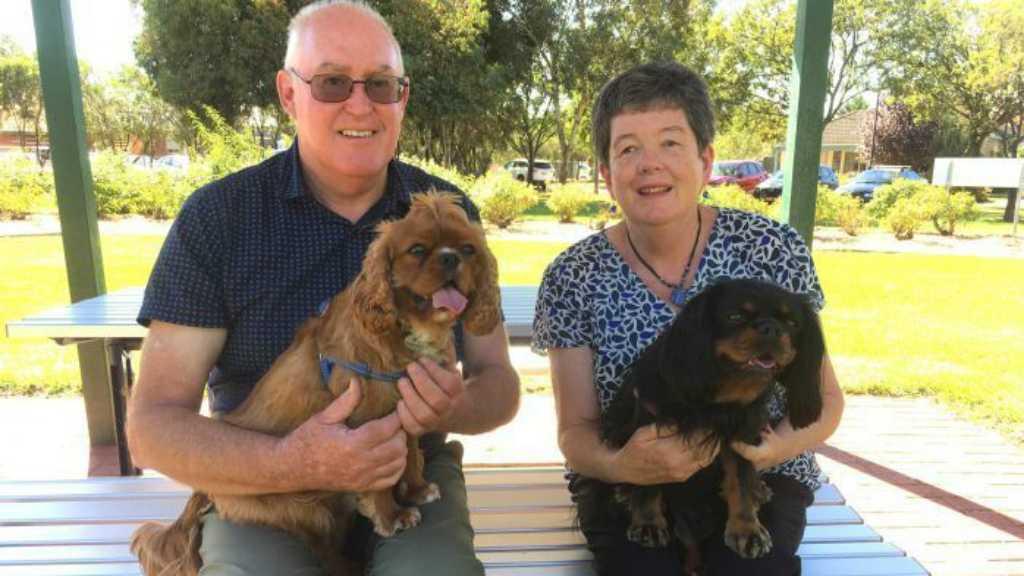 Perjuangan Seekor Anjing di Australia Lepas dari Jeratan Heroin
