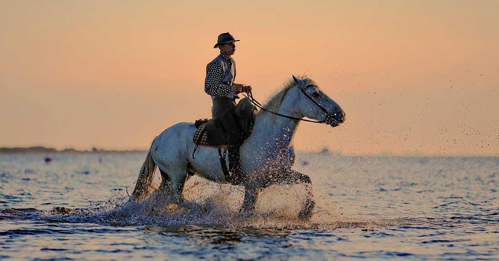 Ternyata, Stroke Lebih Efektif Disembuhkan dengan Berkuda