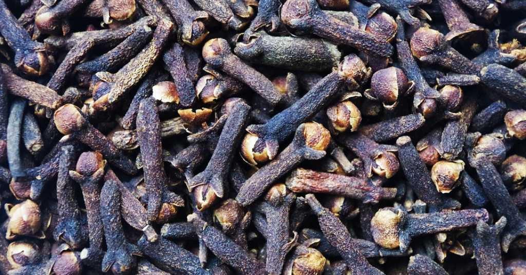 Para Petani Cengkih, Ini Loh Alasan Diminta Beralih ke Pupuk Kandang