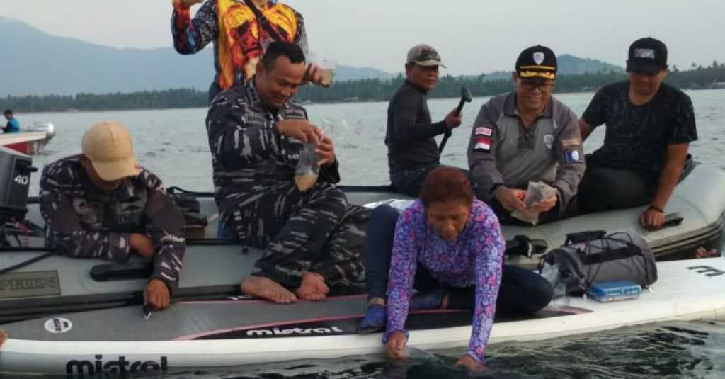 Untung Saja, Benih Lobster Senilai Rp37 M Berhasil Digagalkan