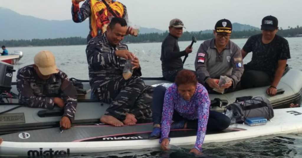 Untung Saja, Benih Lobster Senilai Rp37 M Berhasil Digagalkan