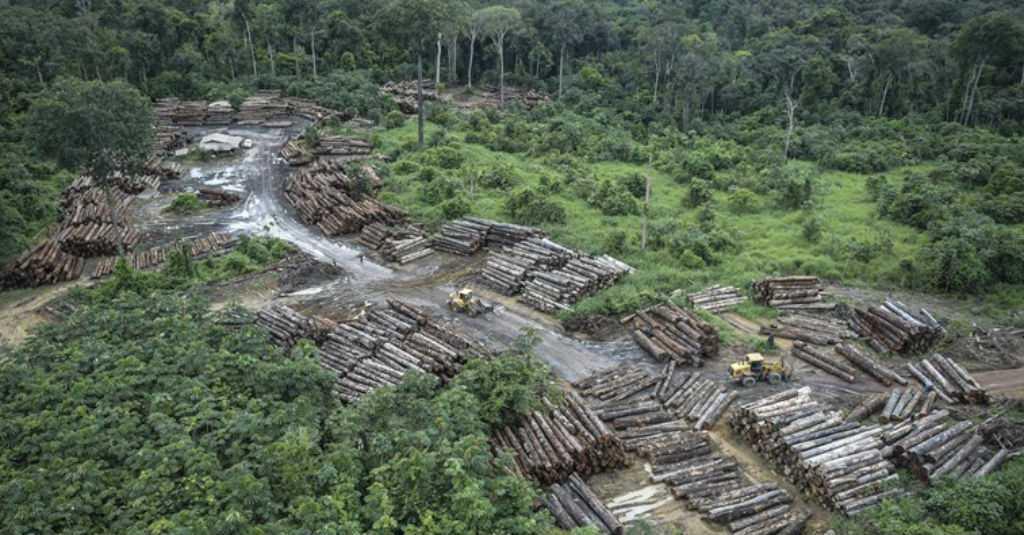 Penggundulan Hutan 2018, Brasil Paling Teratas