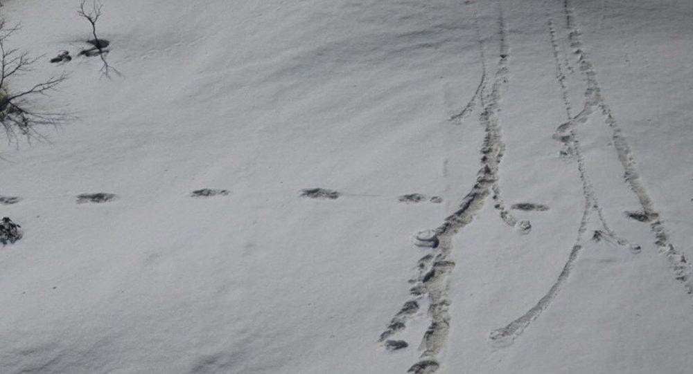 Terlibat dalam Ekspedisi, Nepal Bantah Klaim India Soal Jejak Yeti