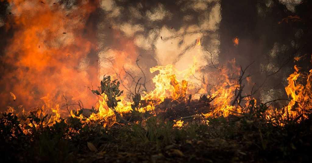 Kebakaran Terjadi di Saluran Pipa Minyak Iran Barat Daya