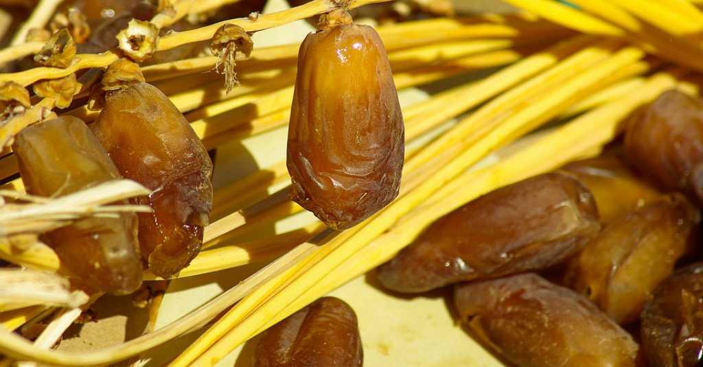 Tak Sembarangan, Begini Cara Memilih Kurma yang Berkualitas