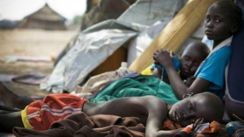 33 Orang Tewas Akibat Kebakaran Hutan di Sudan