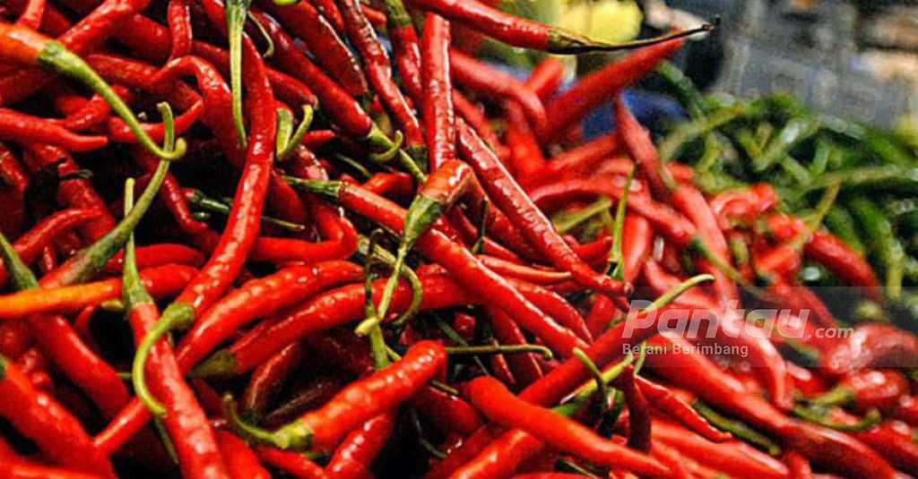 Di awal Ramadan, Harga Cabe Merah Keriting dan Telur Turun