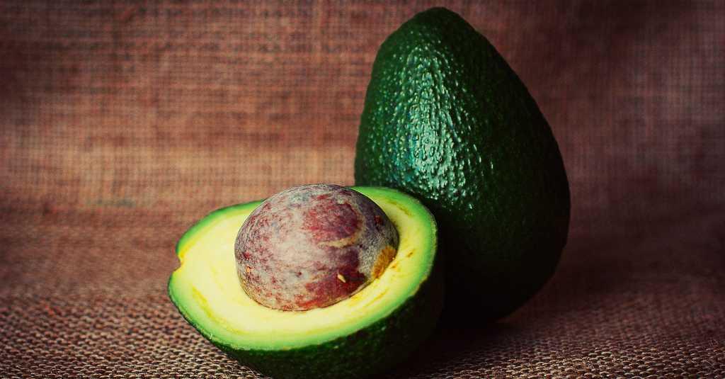 5 Makanan Ini Baik untuk Menjaga Kesehatan Otak