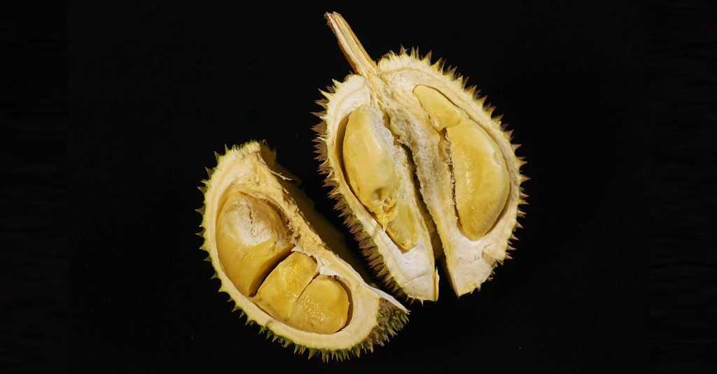 Gegara Durian, Ratusan Orang Dievakuasi dari Perpustakaan di Canberra