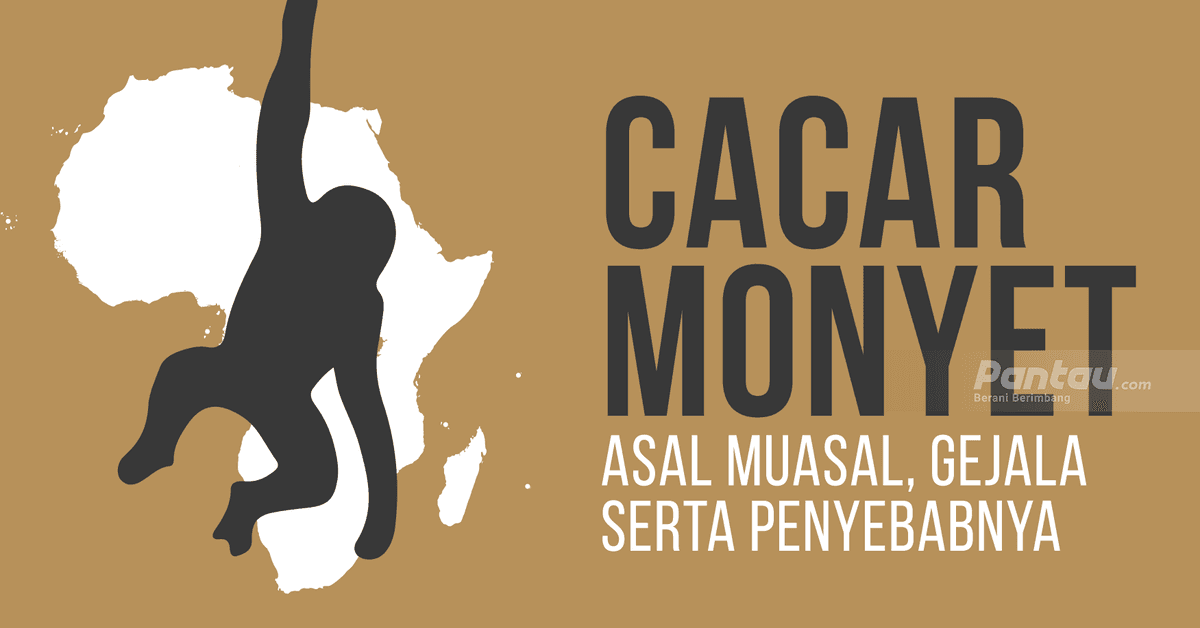 Satu Orang Terpapar Cacar Monyet Namun Pemprov DKI Belum Keluarkan Kebijakan Isolasi