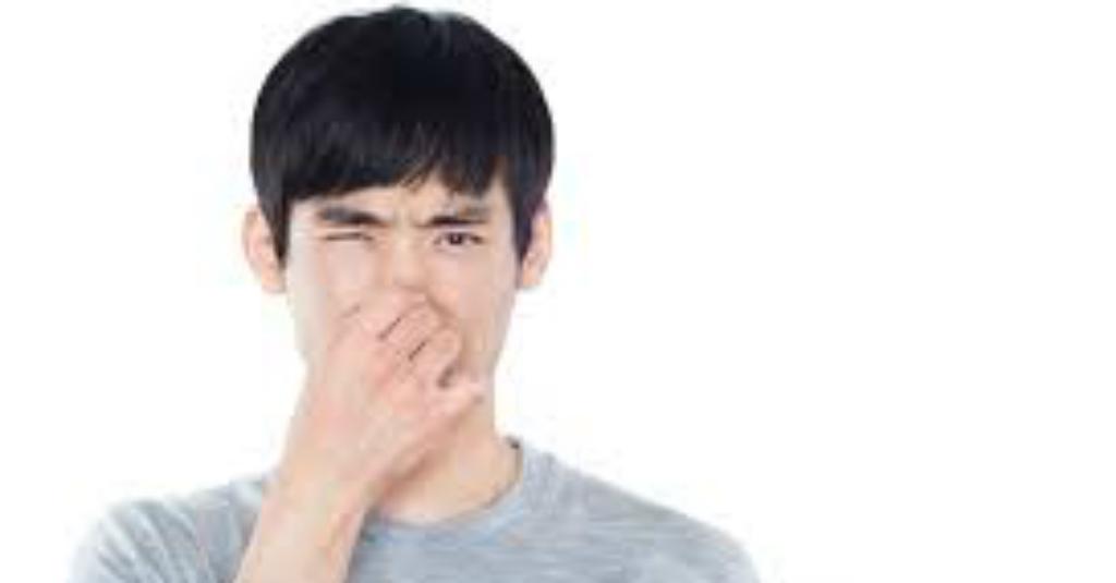 Tak Perlu Parfum, Makanan Ini Bisa Menghilangkan Bau Badan Tak Sedap