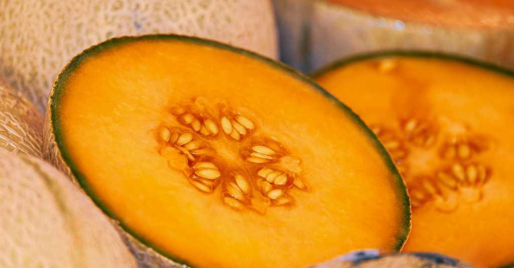 Melon di Hokkaido Dilelang Seharga Rp655 Juta, Apa Istimewanya?