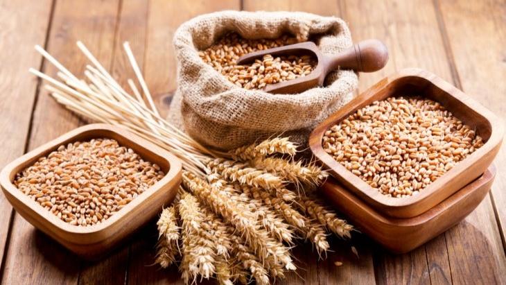 Pertikaian masih Berlanjut, Ukraina Tuduh Rusia Curi 600 Ton Gandum