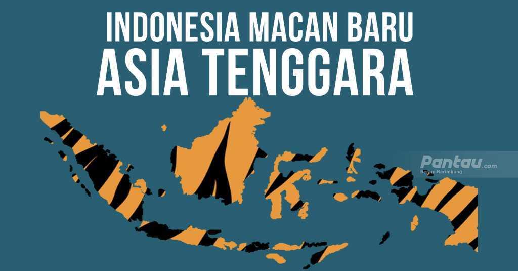 Melihat Indonesia yang Akan Jadi The Next Macan Asia Tenggara