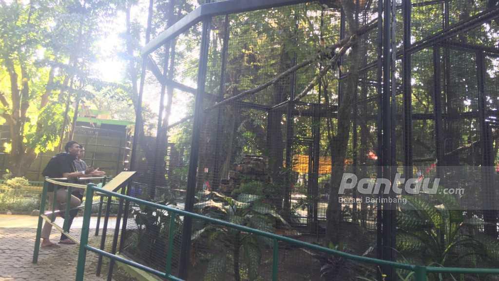 KBS Jadi Destinasi Favorit Lebaran Pengunjung dari Luar Pulau Jawa
