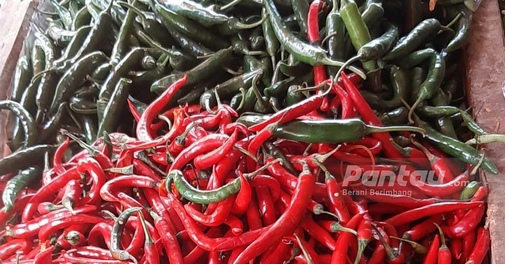 Harga Cabai Merah Besar di Pasar Subang Capai Rp50.000 per Kilogram