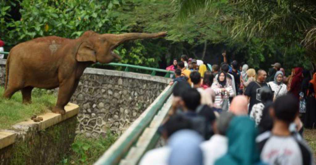 Taman Margasatwa Ragunan Diserbu 170 Ribu Pengunjung di H+3 Lebaran