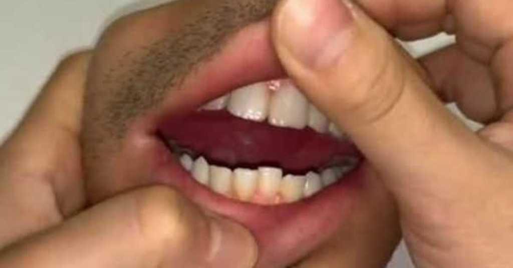 Seniman Jepang Buat Dompet Berbentuk Mulut Manusia, Jijik atau Unik?