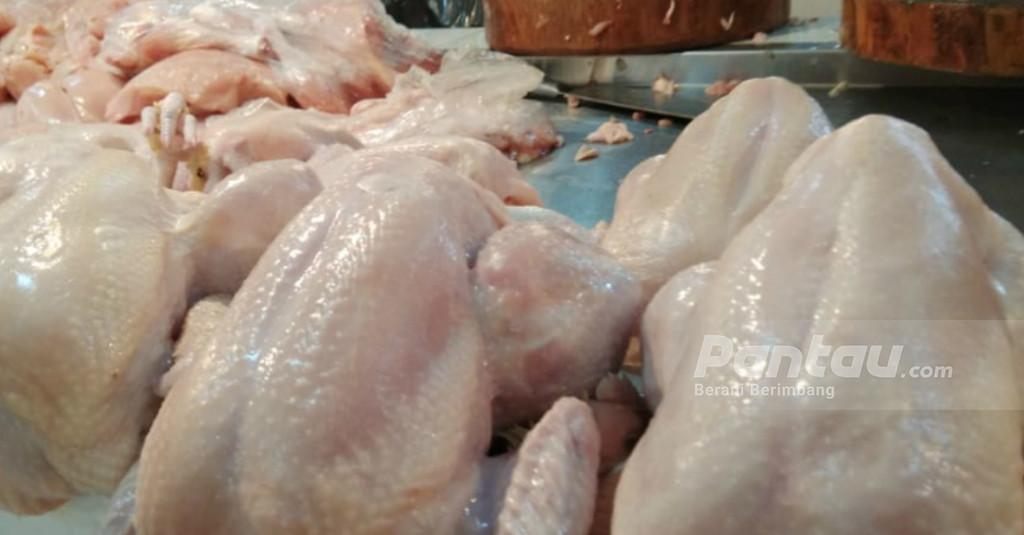 Harga Ayam Naik Diduga Permainan Tengkulak, Kemana Mendag Zulhas?