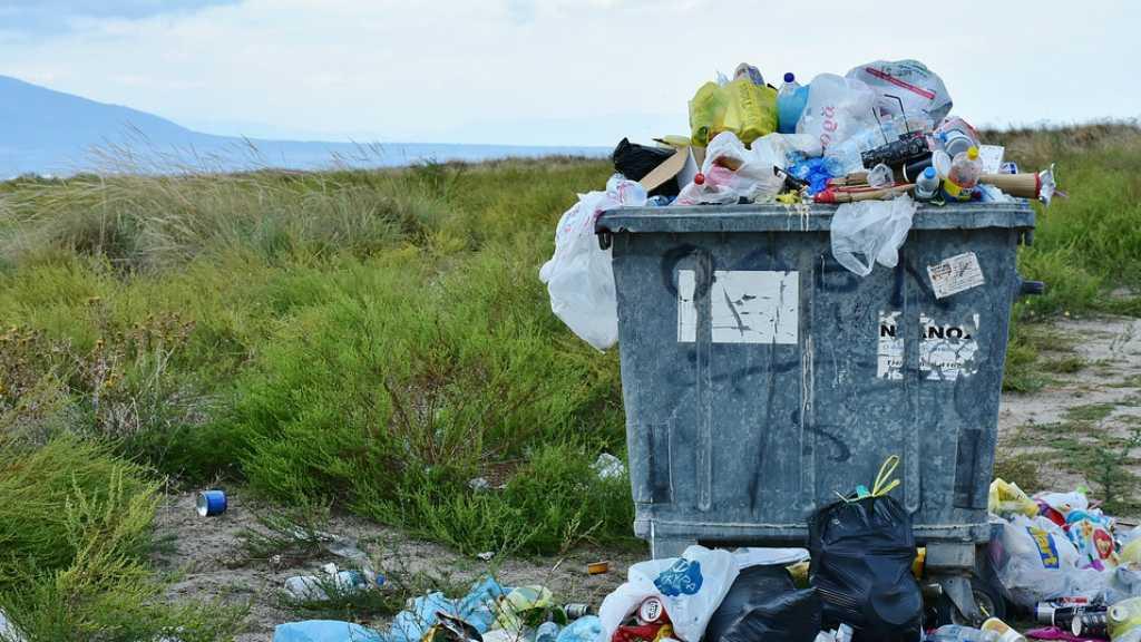 WWF: Tiap Orang Telan Plastik Setara Kartu Kredit Setiap Pekannya