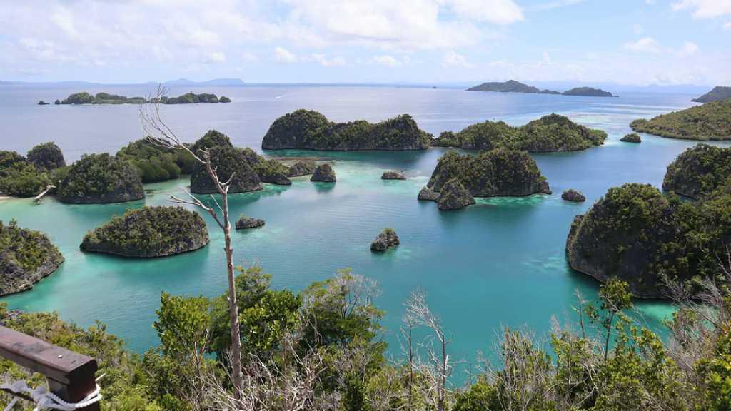 Destinasi Wisata di Raja Ampat Berlabel sebagai Surga Ikan