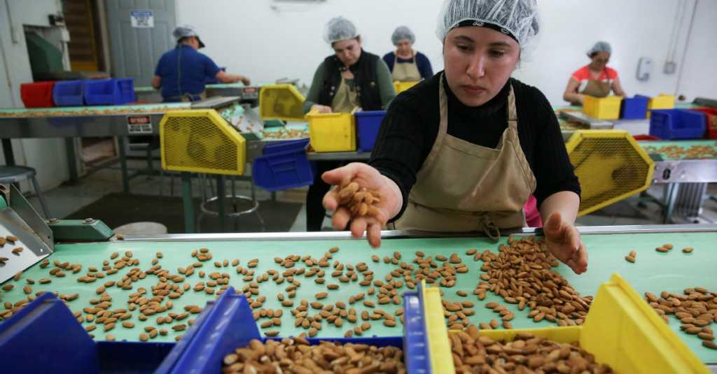 Perkara Kacang Almond California Juga Ribet Karena Tarif dari Trump