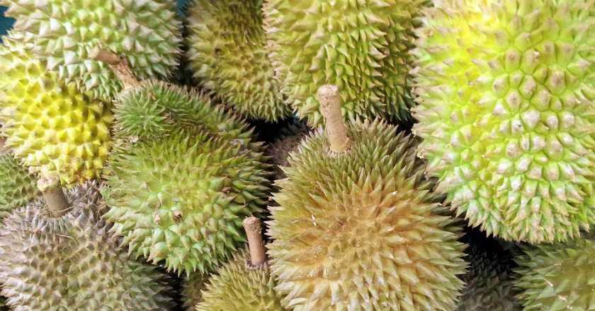 China Terima Impor Durian Malaysia, Kenapa Bukan Indonesia?