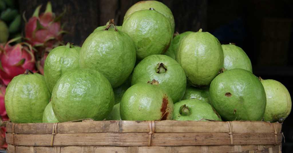 5 Manfaat Jambu Biji untuk Kesehatan