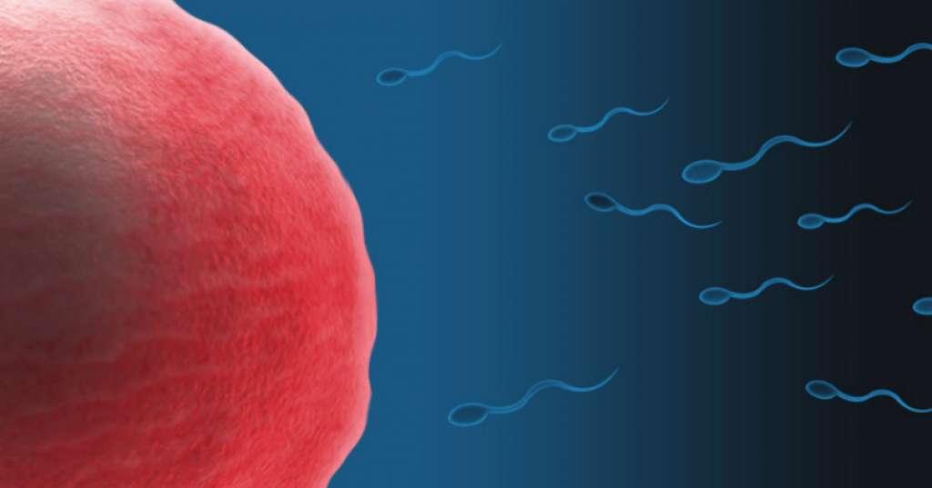 Pengadilan Australia Menangkan Seorang Pedonor Sperma, Kenapa?