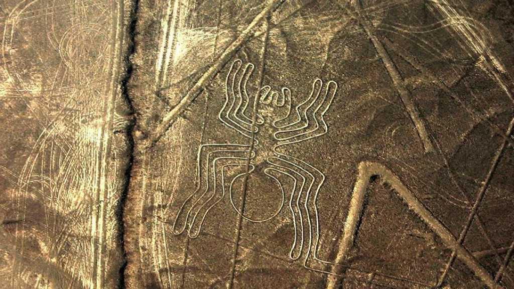 Misteri Garis Nasca-Palpa di Peru yang Dipenuhi Gambar Hewan Kuno