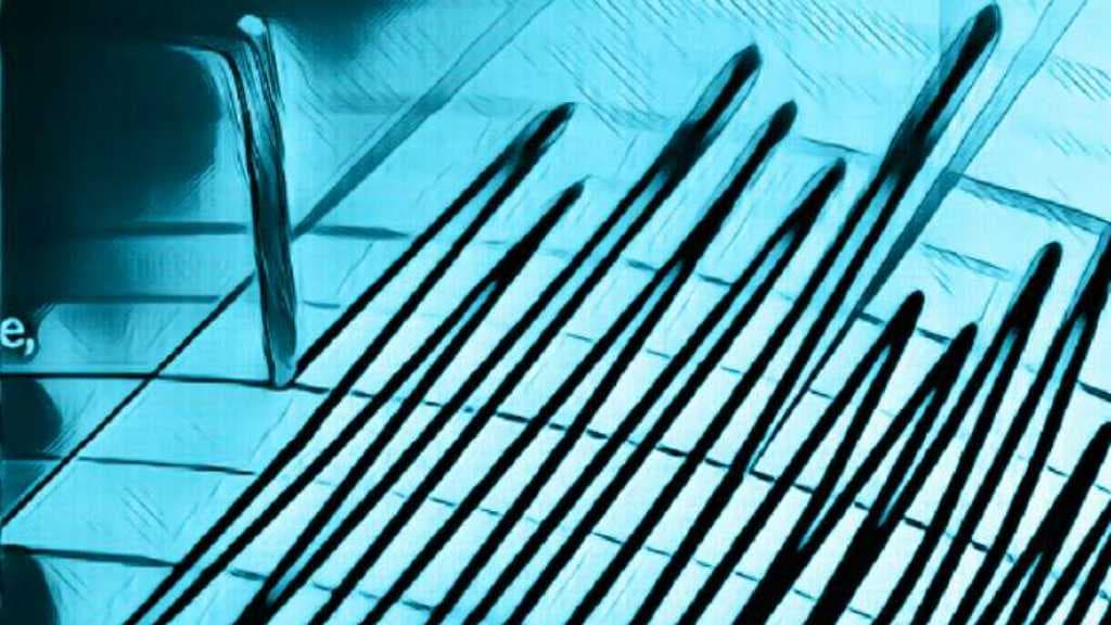 Gempa Magnitudo 6,5 Mengguncang Vancouver Kanada
