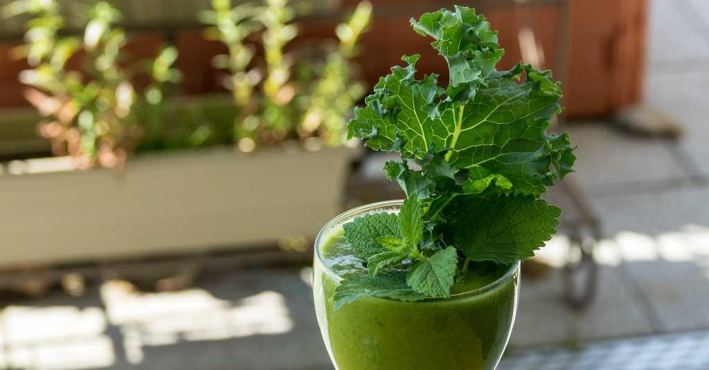 Jus Kale Obat Ampuh Atasi Diabetes Tipe 2