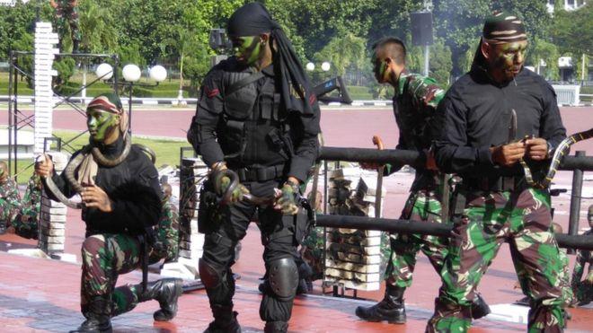 6 Hewan yang Pernah Menjadi Rekan Tentara dalam Berperang