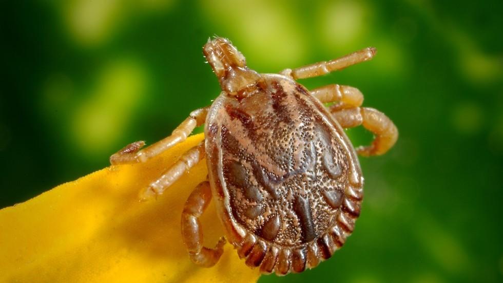 DPR AS Minta Pentagon Diselidiki Terkait Penggunaan Senjata Biologis