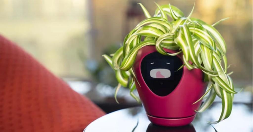 Ajaib, Pot Ini Buat Tanamanmu Mampu Berekspresi Selayaknya Tamagotchi