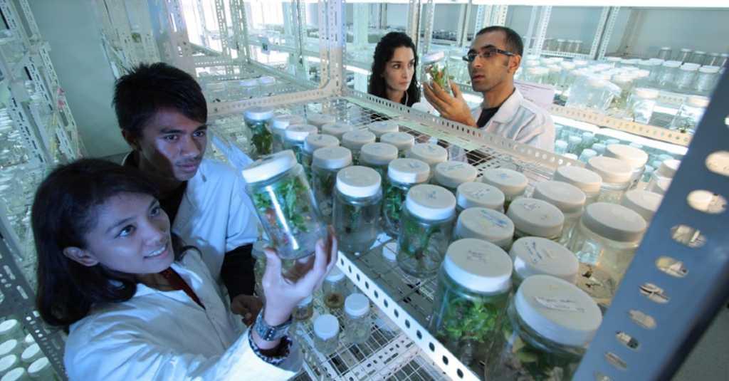 Sri Mulyani Angkat Bicara Soal Dana Riset di Indonesia yang Tersebar