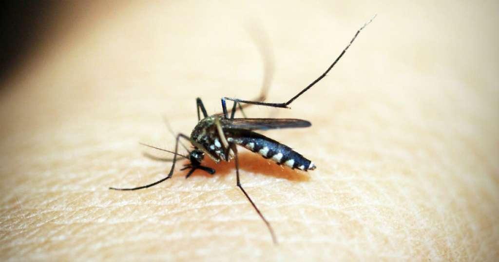 Parasit Kebal Penyebab Malaria Ancam Asia Tenggara! Bagaimana Indonesia?