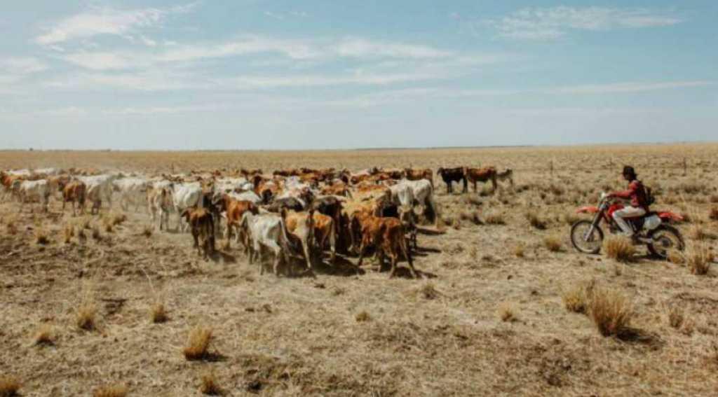 Palestina dan Arab Saudi Peringati Idul Adha 11 Agustus 2019