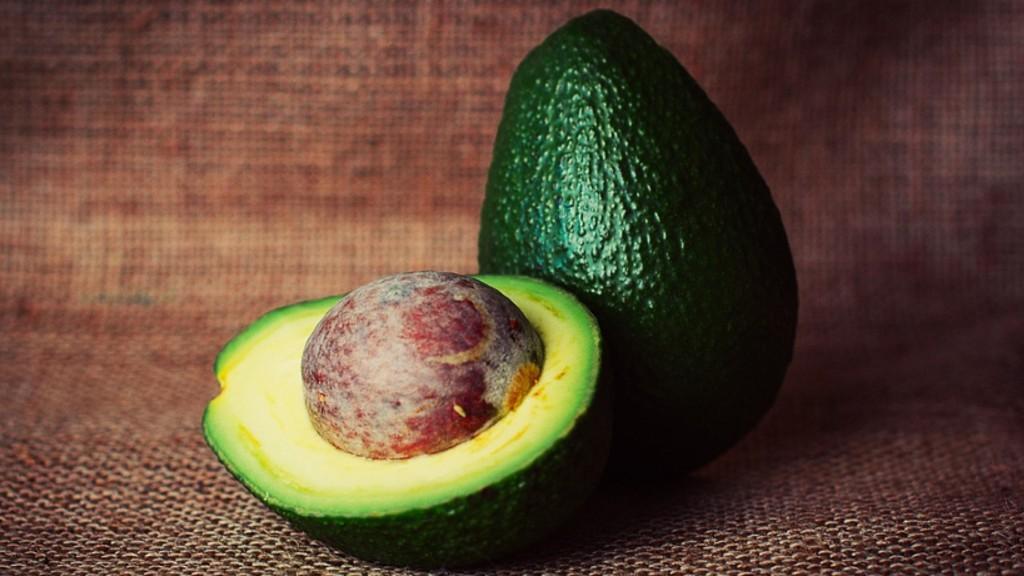 5 Makanan Ini Bisa Bikin Usus Kamu Sehat Lho, Nomor 4 Biasa Ada di Dapurmu!