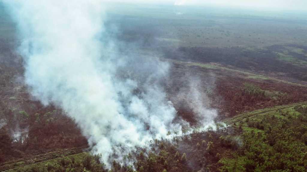 Pemerintah, Asap Semakin Banyak Ditemukan di Lokasi Konsensi Korporasi