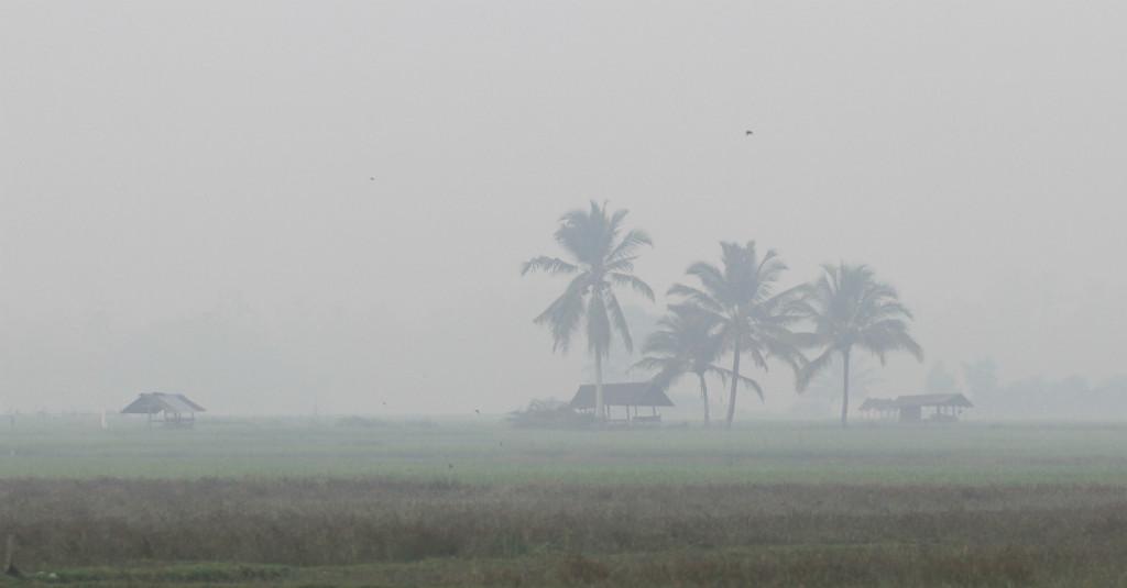 Pemerintah Aceh Barat Tetapkan Status Siaga Darurat Bencana Asap Karhutla